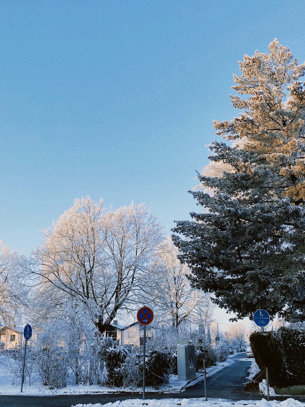 ContentType Guide: Must-Have Tips for the Best Topic Results — Featured image Illustration of ContentType Guide: Must-Have Tips for the Best Topic Results